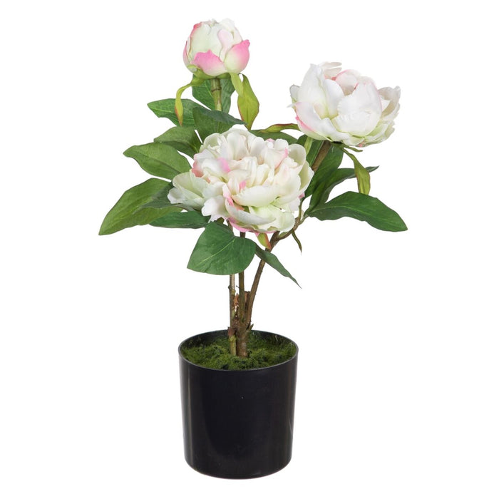 Decorative Plant 24 X 20 X 38 Cm Cream Peony