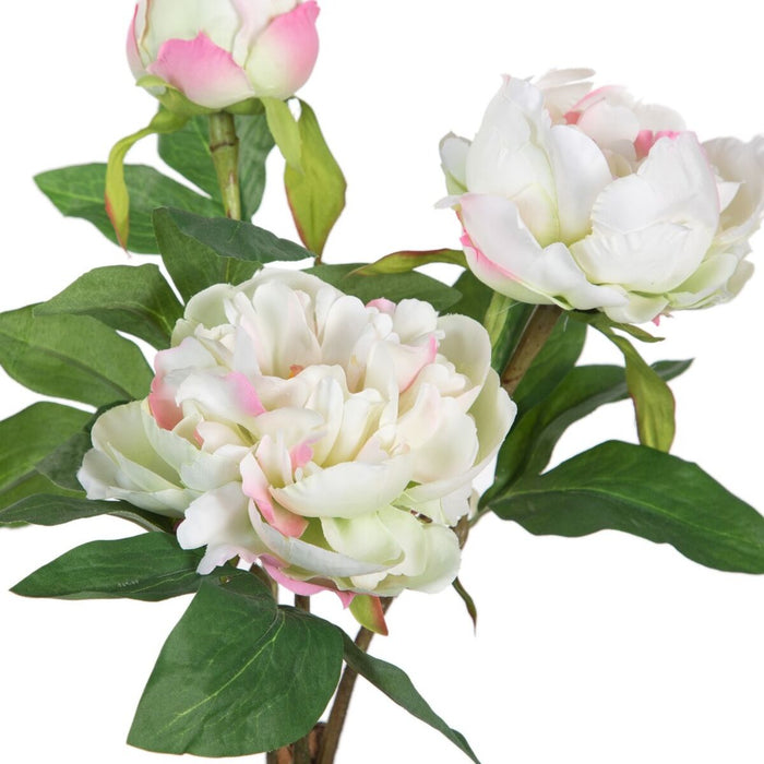 Decorative Plant 24 X 20 X 38 Cm Cream Peony