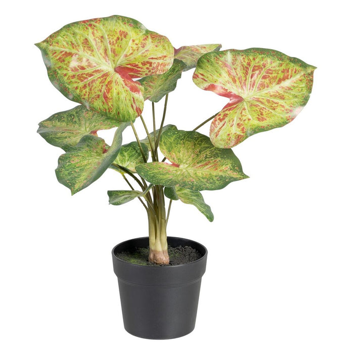 Decorative Plant 48 X 46 X 55 Cm Red Green Pvc