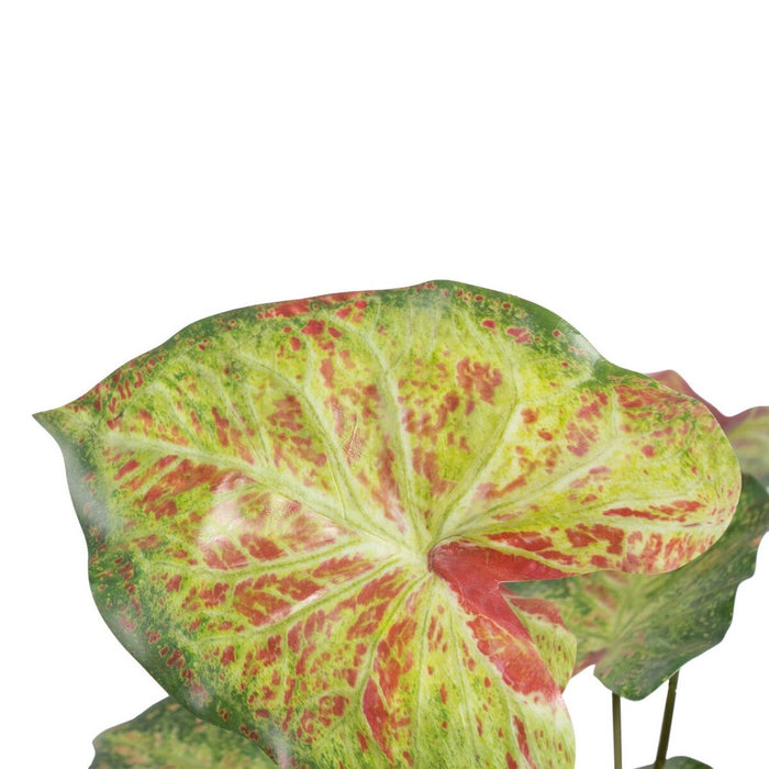 Decorative Plant 48 X 46 X 55 Cm Red Green Pvc