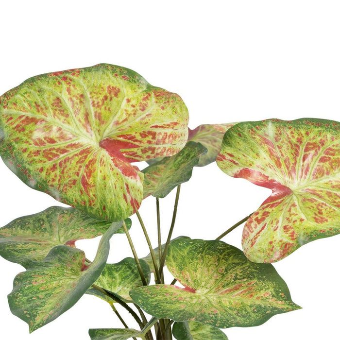 Decorative Plant 48 X 46 X 55 Cm Red Green Pvc