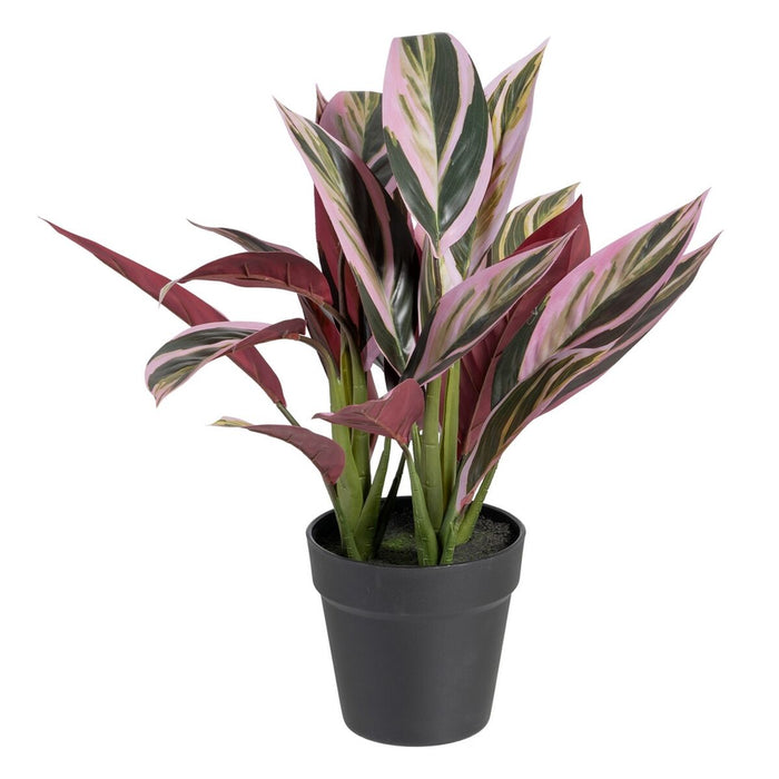 Decorative Plant 44 X 39 X 48 Cm Pink Green Pvc