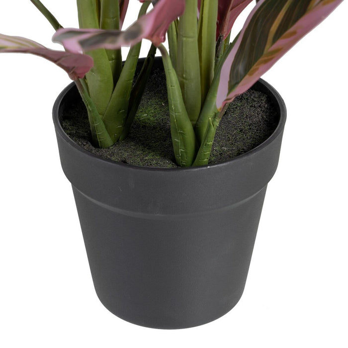 Decorative Plant 44 X 39 X 48 Cm Pink Green Pvc