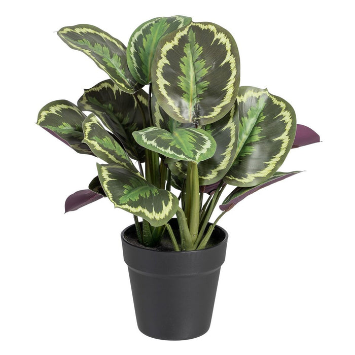 Decorative Plant 37 X 37 X 41 Cm Green Pvc