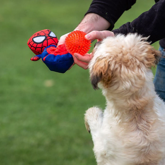 Dog Toy By Spiderman Red