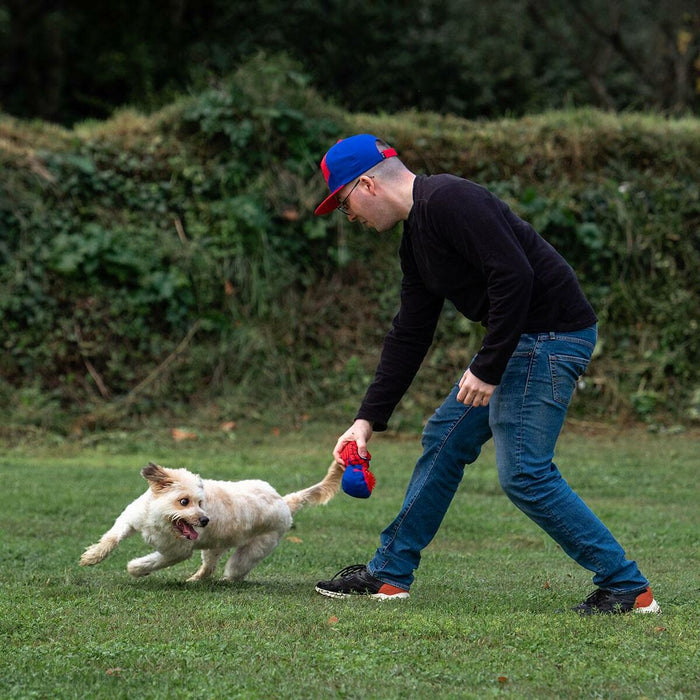 Dog Toy By Spiderman Red