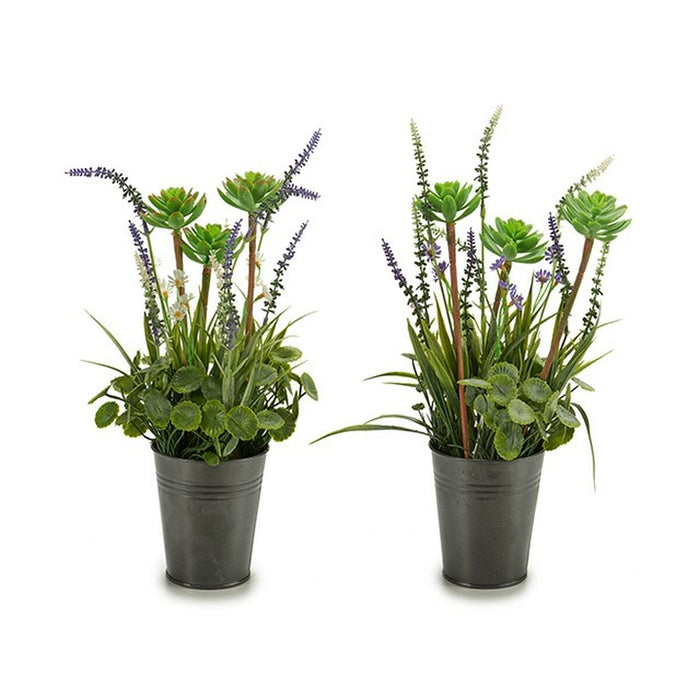 Decorative Plant Lavendar Metal Plastic 13 x 40 Cm 12 Units