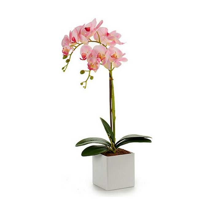 Decorative Plant Orchid 18 X 47 X 14 Cm Plastic 6 Units