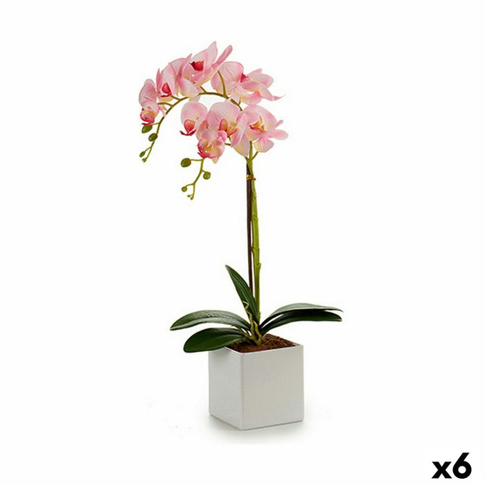 Decorative Plant Orchid 18 X 47 X 14 Cm Plastic 6 Units