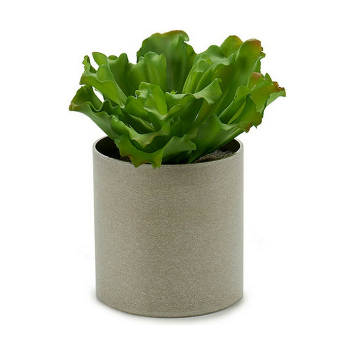 Decorative Plant 20 X 25 X 20 Cm 6 Units