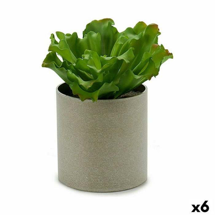 Decorative Plant 20 X 25 X 20 Cm 6 Units