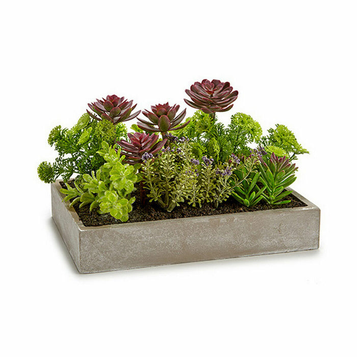 Decorative Plant Succulent Plastic Cement 16.5 x 20 28.5 Cm