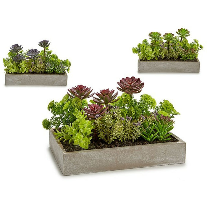 Decorative Plant Succulent Plastic Cement 16.5 x 20 28.5 Cm