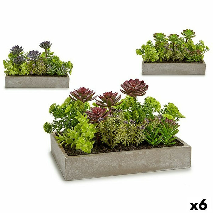 Decorative Plant Succulent Plastic Cement 16.5 x 20 28.5 Cm