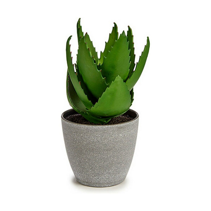 Decorative Plant Aloe Vera 15 X 23.5 X 15 Cm Grey Green Plastic 6 Units