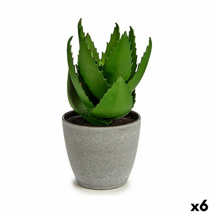 Decorative Plant Aloe Vera 15 X 23.5 X 15 Cm Grey Green Plastic 6 Units