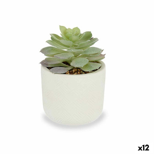 Decorative Plant Succulent Plastic 14 x 13.5 Cm 12 Units