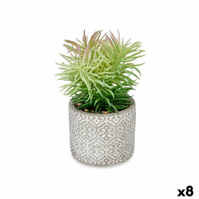 Decorative Plant Succulent Wood Plastic 12 X 22 X 12 Cm 8 Units