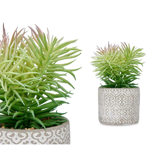 Decorative Plant Succulent Wood Plastic 12 X 22 X 12 Cm 8 Units