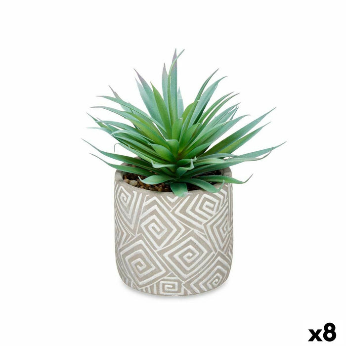 Decorative Plant Succulent Wood Plastic 17 X 21 X 17 Cm 8 Units