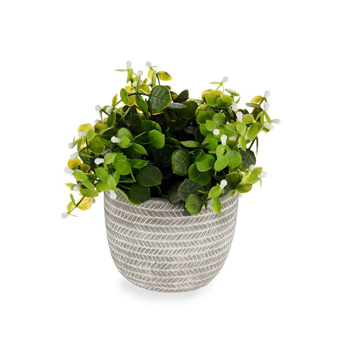 Decorative Plant Flowers Plastic 20 X 20.5 X 20 Cm 8 Units