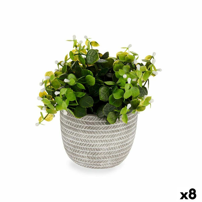 Decorative Plant Flowers Plastic 20 X 20.5 X 20 Cm 8 Units