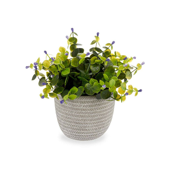 Decorative Plant Flowers Plastic 21 X 20.6 X 21 Cm 8 Units