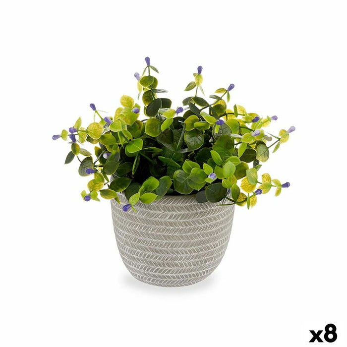 Decorative Plant Flowers Plastic 21 X 20.6 X 21 Cm 8 Units