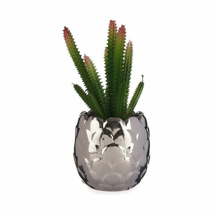 Decorative Plant Cactus Ceramic Plastic 10 X 20 X 10 Cm 6 Units