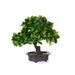 Decorative Plant Bonsai Plastic 27 x 28 14 Cm 8 Units