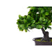 Decorative Plant Bonsai Plastic 27 x 28 14 Cm 8 Units