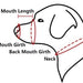 Breathable Adjustable Anti-biting Barking Pet Mouth Cover