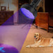 Battery Operated 128 Uv Led Flashlight Pet Urine Detector