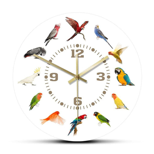 Birds Breeds Collection Modern Wall Clock Non Ticking Watch