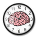 Brain Anatomy Wall Clock