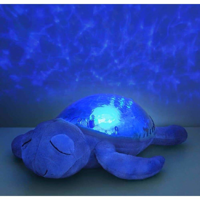 Cloud b Tranquil Turtle® | Ocean