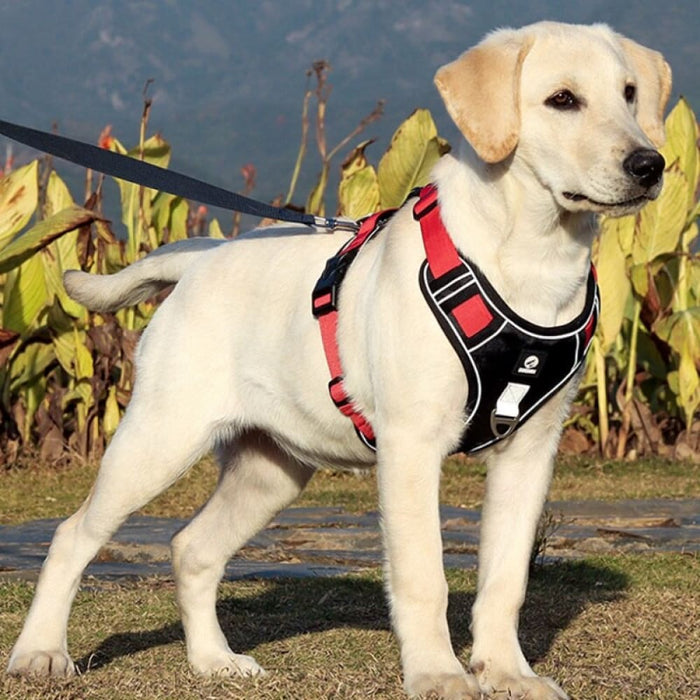 Comfortable Breathable Reflective Dog Harness