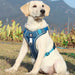 Comfortable Breathable Reflective Dog Harness