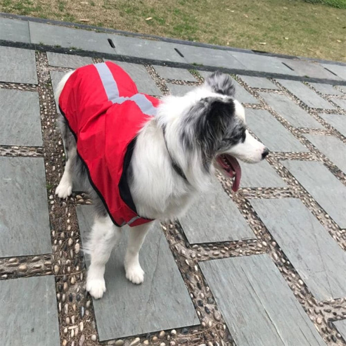 Comfortable Reflective Raincoat For Dogs