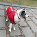 Comfortable Reflective Raincoat For Dogs