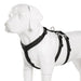 Double-h Nylon Reflective Dog Harness