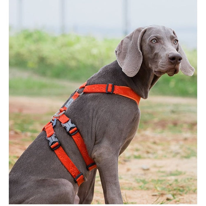 Double-h Nylon Reflective Dog Harness