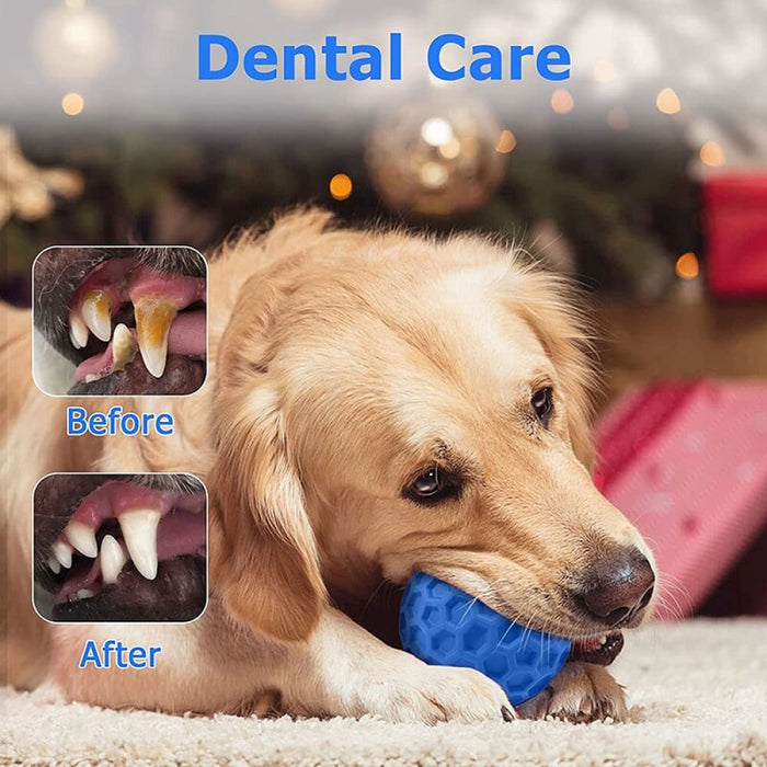 Durable Rubber Teeth Cleaning Squeaky Dog Chew Ball For Aggressive Chewers