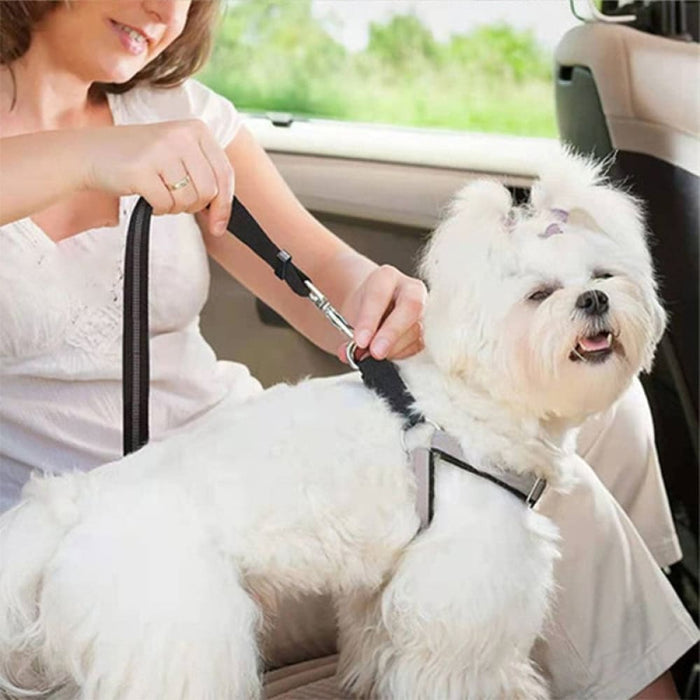 Elastic Buffer Reflective Car Seat Belt Dog Leash