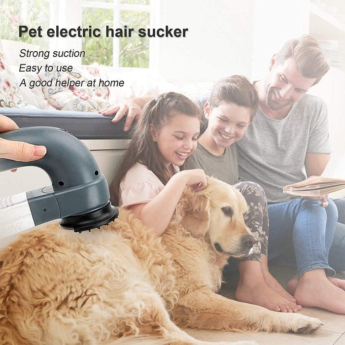 Vibe Geeks Electric Pet Hair Vacuum Removing Machine-