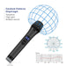 Wireless Dynamic Microphone& Receiver For Outdoor Party