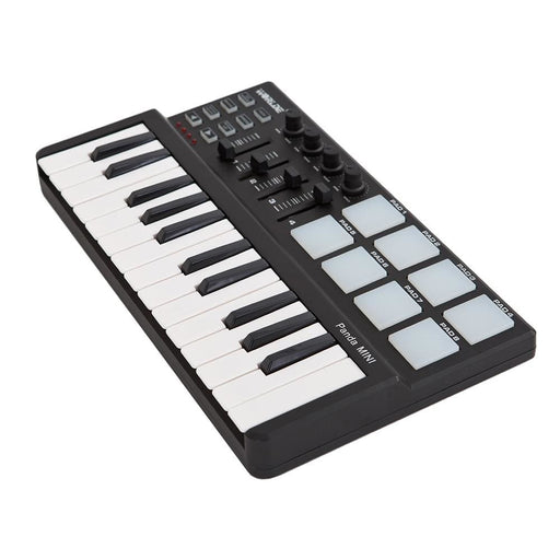 Hot-sale Portable Mini 25-key Usb Keyboard And Drum Pad Midi