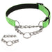Adjustable Dog Collar With Stainless Steel Chain