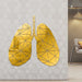 Lung Anatomy Acrylic Mirror Diy Stickers