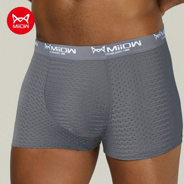 Mesh Men Underwear Boxer Shorts Antibacterial Ice Silk